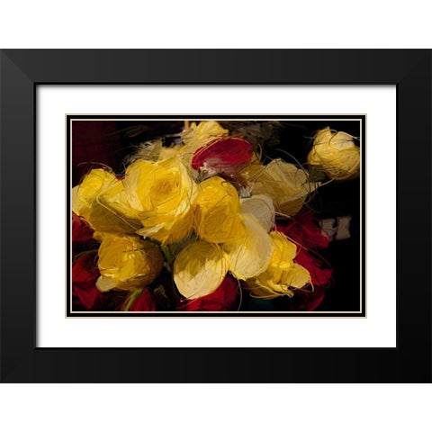 Roses 4 Black Modern Wood Framed Art Print with Double Matting by Butcher, Sarah