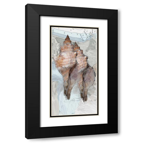 Shells Around The World 2 Black Modern Wood Framed Art Print with Double Matting by Butcher, Sarah