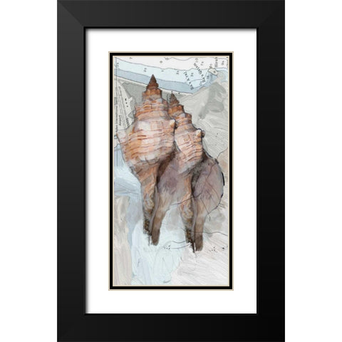 Shells Around The World 2 Black Modern Wood Framed Art Print with Double Matting by Butcher, Sarah