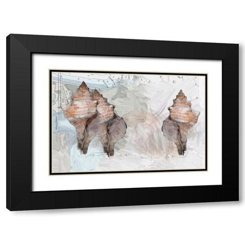 Maps And Shells Black Modern Wood Framed Art Print with Double Matting by Butcher, Sarah