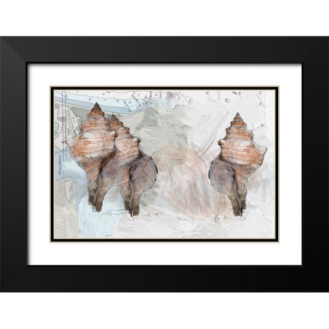 Maps And Shells Black Modern Wood Framed Art Print with Double Matting by Butcher, Sarah