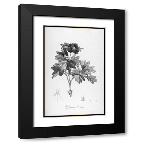 Botanical Eclipse 1 Black Modern Wood Framed Art Print with Double Matting by Carlson, Tina