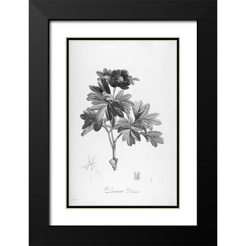 Botanical Eclipse 1 Black Modern Wood Framed Art Print with Double Matting by Carlson, Tina