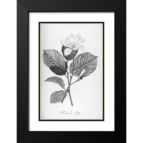 Botanical Eclipse 4 Black Modern Wood Framed Art Print with Double Matting by Carlson, Tina