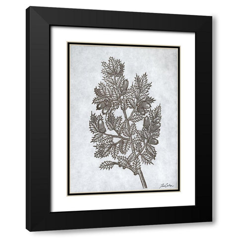 Oak Tree 3 Black Modern Wood Framed Art Print with Double Matting by Carlson, Tina