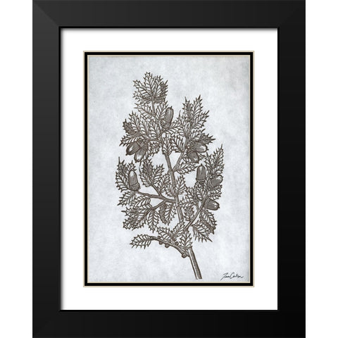 Oak Tree 3 Black Modern Wood Framed Art Print with Double Matting by Carlson, Tina