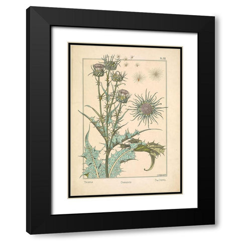 Thistle Chardon Black Modern Wood Framed Art Print with Double Matting by Carlson, Tina