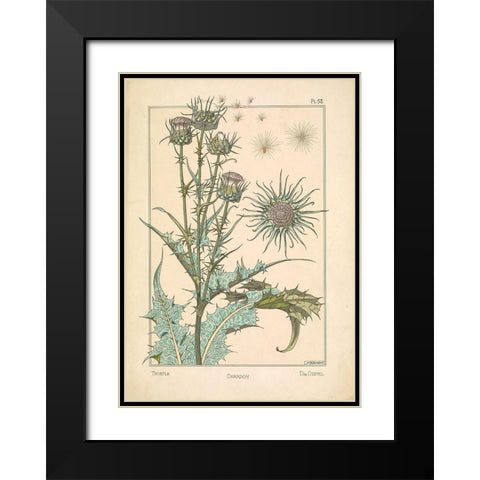 Thistle Chardon Black Modern Wood Framed Art Print with Double Matting by Carlson, Tina