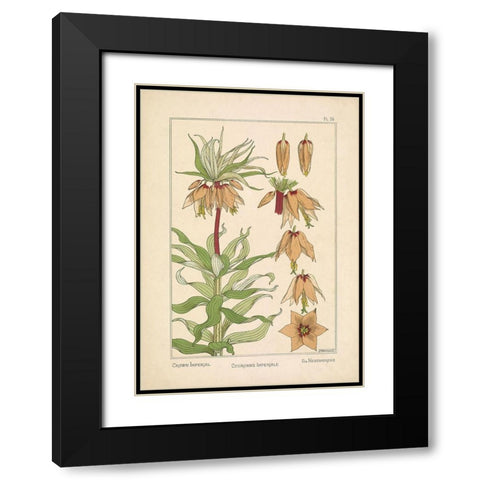 Crown Imperial Black Modern Wood Framed Art Print with Double Matting by Carlson, Tina