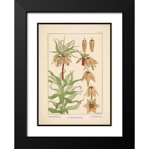 Crown Imperial Black Modern Wood Framed Art Print with Double Matting by Carlson, Tina