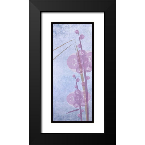 Orchids 1 Black Modern Wood Framed Art Print with Double Matting by Greene, Taylor