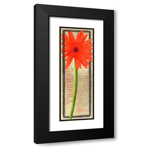 GERBERA DAISY Black Modern Wood Framed Art Print with Double Matting by Greene, Taylor