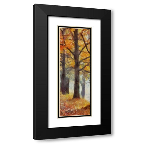 AMBER TRAIL PANEL II Black Modern Wood Framed Art Print with Double Matting by Greene, Taylor