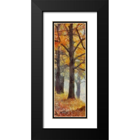 AMBER TRAIL PANEL II Black Modern Wood Framed Art Print with Double Matting by Greene, Taylor