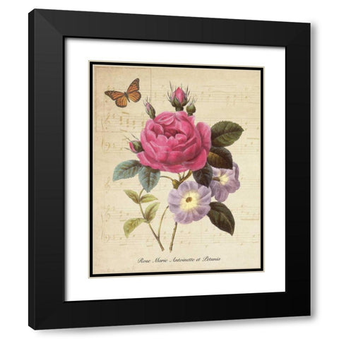 Rose Superb II Black Modern Wood Framed Art Print with Double Matting by Greene, Taylor