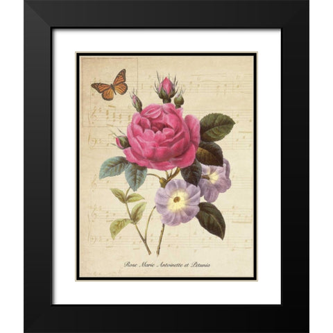 Rose Superb II Black Modern Wood Framed Art Print with Double Matting by Greene, Taylor