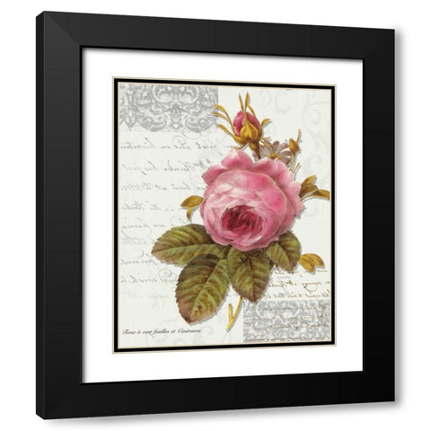 Rose On Scroll I Black Modern Wood Framed Art Print with Double Matting by Greene, Taylor