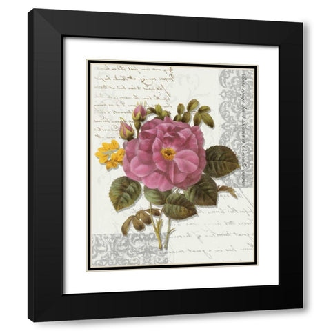 Rose On Scroll II Black Modern Wood Framed Art Print with Double Matting by Greene, Taylor