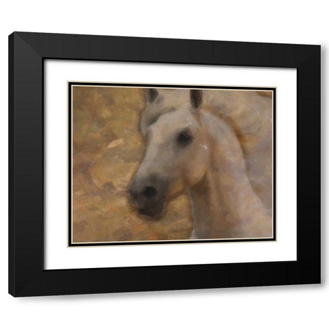 GOLDEN MARE Black Modern Wood Framed Art Print with Double Matting by Greene, Taylor