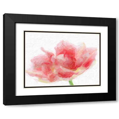 Tulip Flamingo Black Modern Wood Framed Art Print with Double Matting by Greene, Taylor