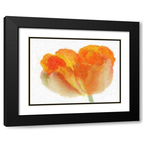 Tulip Tango Black Modern Wood Framed Art Print with Double Matting by Greene, Taylor