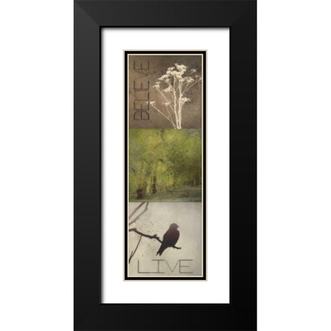 SIlhouette Beauty  A Black Modern Wood Framed Art Print with Double Matting by Greene, Taylor