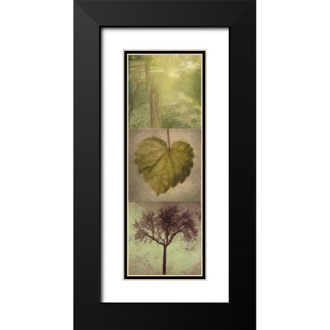 SILHOUETTE BEAUTY  B Black Modern Wood Framed Art Print with Double Matting by Greene, Taylor