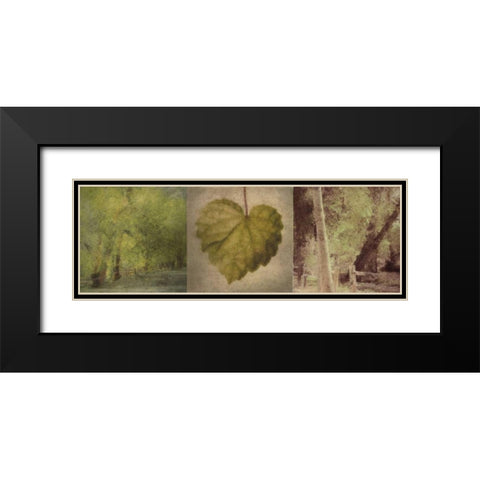 SILHOUETTE BEAUTY E Black Modern Wood Framed Art Print with Double Matting by Greene, Taylor