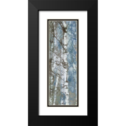 Birch Scape 2 Black Modern Wood Framed Art Print with Double Matting by Greene, Taylor