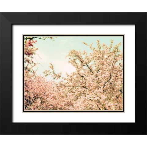 Cream Apple Blossoms Black Modern Wood Framed Art Print with Double Matting by Telik, Tracey