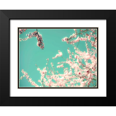 Apple Sky Black Modern Wood Framed Art Print with Double Matting by Telik, Tracey