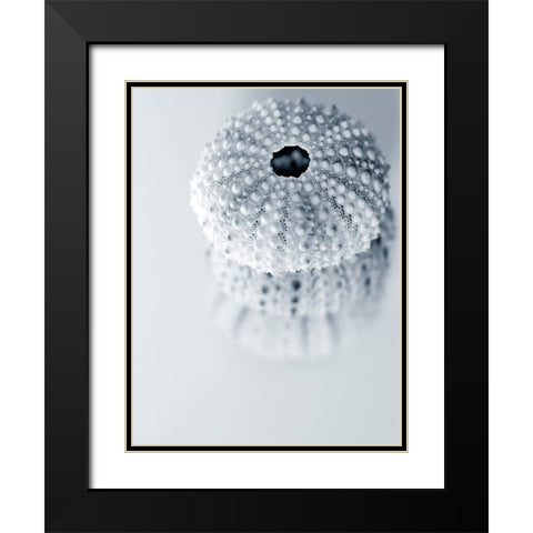 Urchins Black Modern Wood Framed Art Print with Double Matting by Telik, Tracey