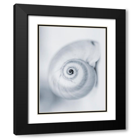 Moon Snail Black Modern Wood Framed Art Print with Double Matting by Telik, Tracey