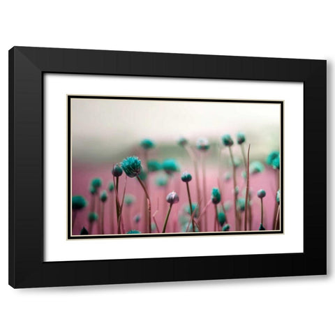 Journey Thru The Field Black Modern Wood Framed Art Print with Double Matting by Telik, Tracey