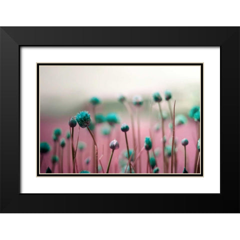 Journey Thru The Field Black Modern Wood Framed Art Print with Double Matting by Telik, Tracey