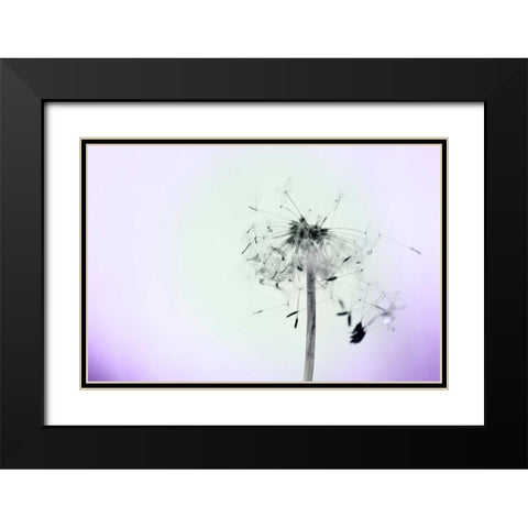 Wishes On A Wind Black Modern Wood Framed Art Print with Double Matting by Telik, Tracey