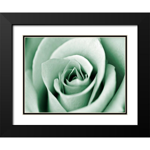 Jade Rose Black Modern Wood Framed Art Print with Double Matting by Telik, Tracey