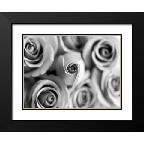 Monotone Bouquet Black Modern Wood Framed Art Print with Double Matting by Telik, Tracey