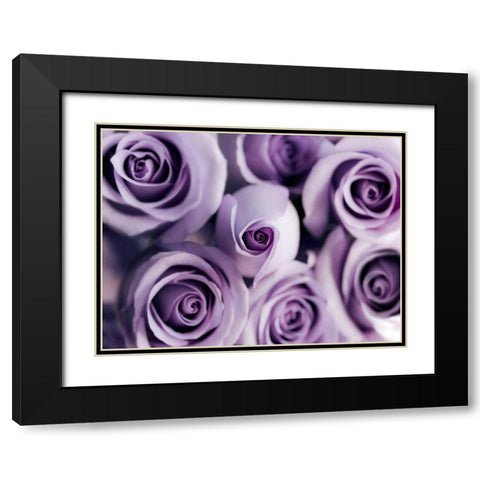 Lavender Bouquet Black Modern Wood Framed Art Print with Double Matting by Telik, Tracey