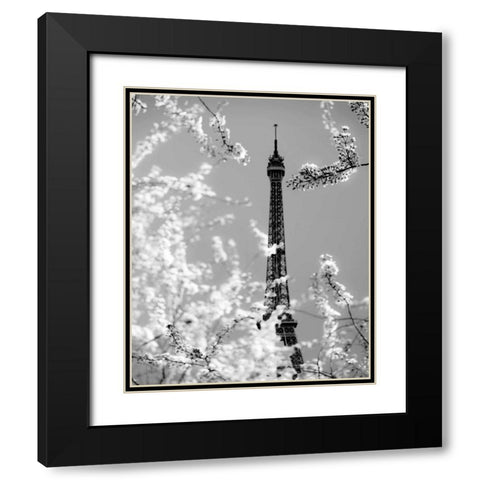 Spring Eiffel BW Black Modern Wood Framed Art Print with Double Matting by Telik, Tracey