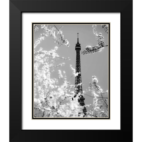 Spring Eiffel BW Black Modern Wood Framed Art Print with Double Matting by Telik, Tracey