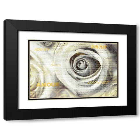 Old Roses Amour Black Modern Wood Framed Art Print with Double Matting by Telik, Tracey