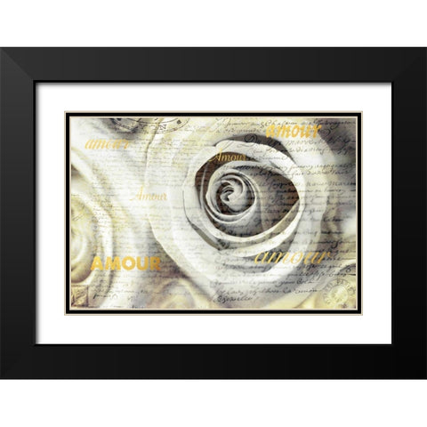 Old Roses Amour Black Modern Wood Framed Art Print with Double Matting by Telik, Tracey
