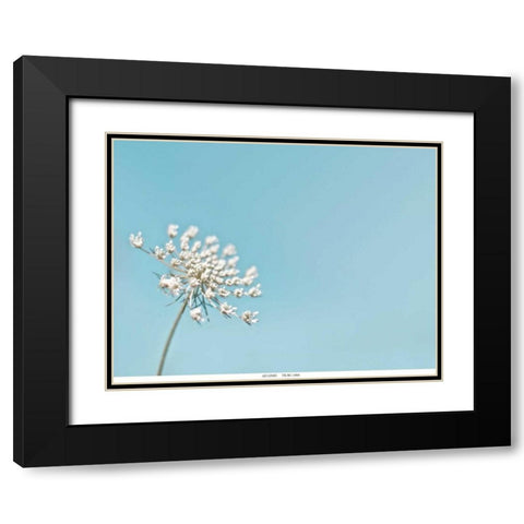 Lace 1 Blue Black Modern Wood Framed Art Print with Double Matting by Telik, Tracey