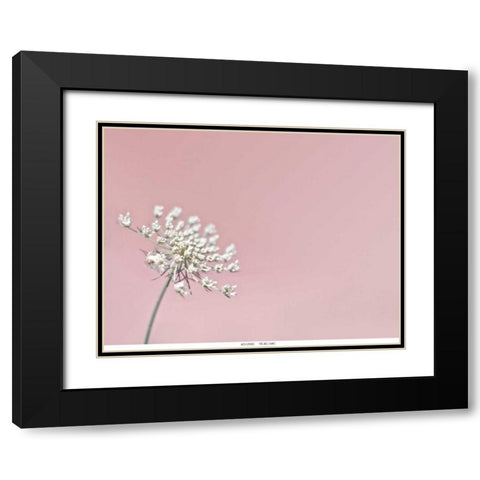 Lace 1 Pink Black Modern Wood Framed Art Print with Double Matting by Telik, Tracey