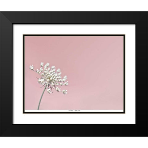 Lace 1 Pink Black Modern Wood Framed Art Print with Double Matting by Telik, Tracey