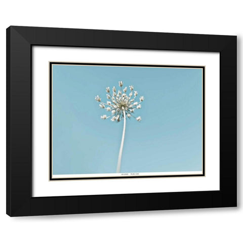 Lacey 2 Black Modern Wood Framed Art Print with Double Matting by Telik, Tracey