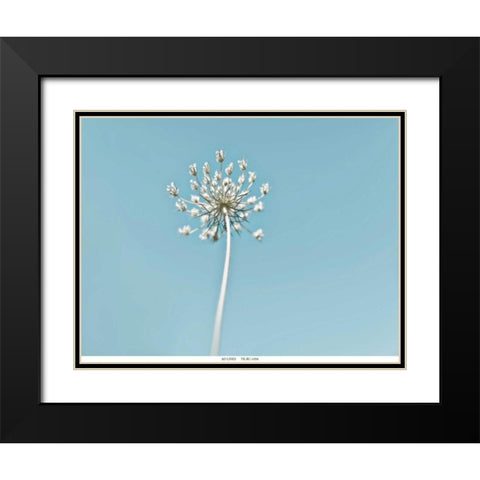Lacey 2 Black Modern Wood Framed Art Print with Double Matting by Telik, Tracey