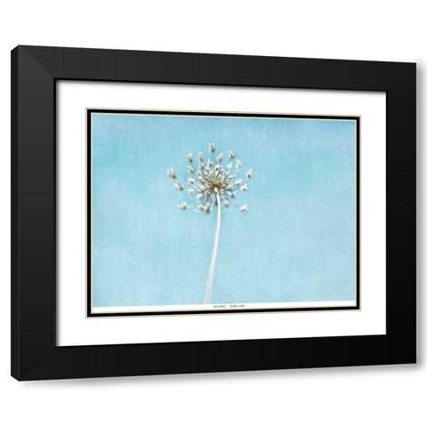Lacey Texture 2 Black Modern Wood Framed Art Print with Double Matting by Telik, Tracey
