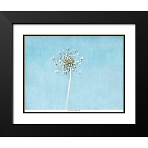 Lacey Texture 2 Black Modern Wood Framed Art Print with Double Matting by Telik, Tracey